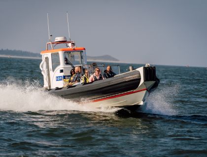 Zeehondentochten en Watertaxi Vlieland Vlieland