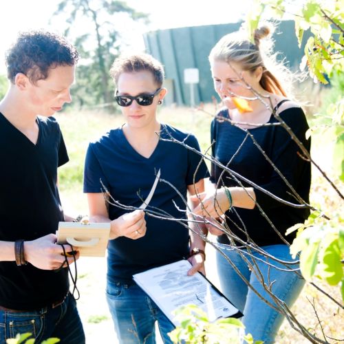 2016-12/paal-50-gpstocht