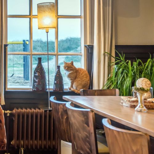 2018-04/1522747871_posthuys-int