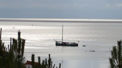 2019-02/1549290113_cropped-img-0086-12