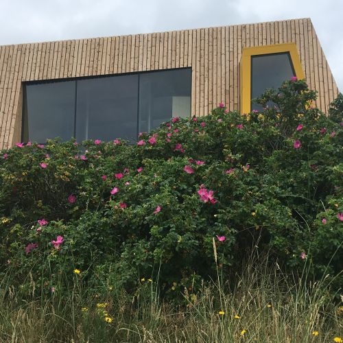 2019-10/1571405345_brouwerij-vlieland