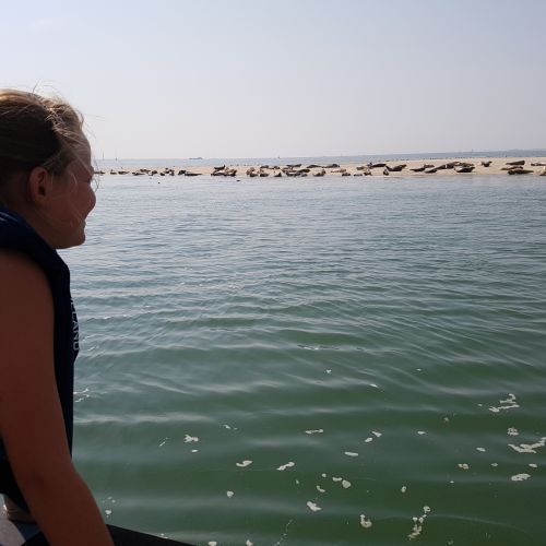 2021-03/kijken-naar-zeehonden