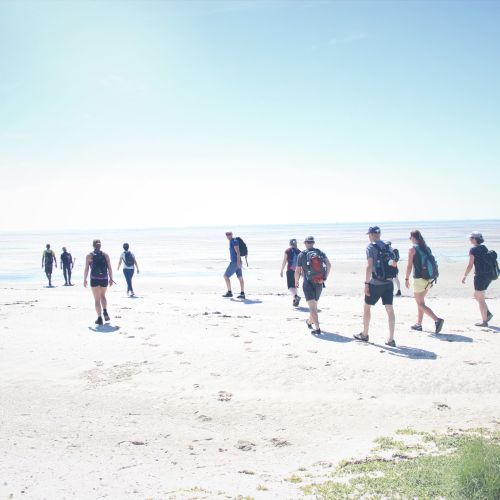 2021-03/wadlopen