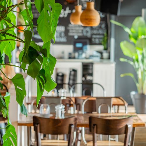 2021-10/20201123-vlieland-0394-low