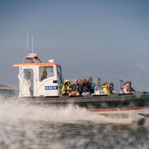 2021-10/210915-roblipsius-vlieland-0185-low