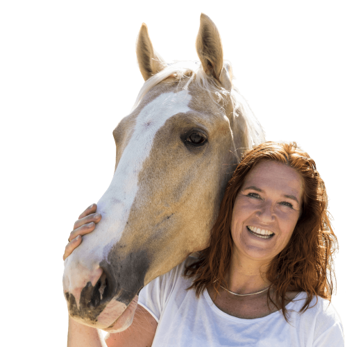 2022-05/novaqi-intro