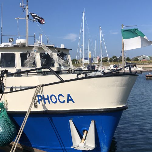 2022-05/phoca-in-de-haven