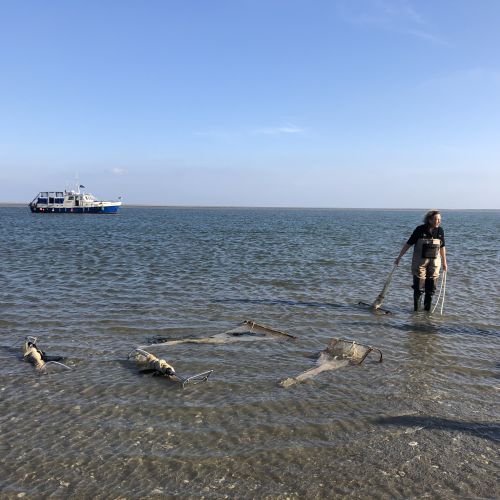 2022-05/phoca-josephine