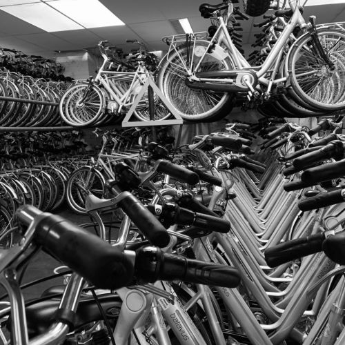 2022-08/1660036609_zeelen-2022