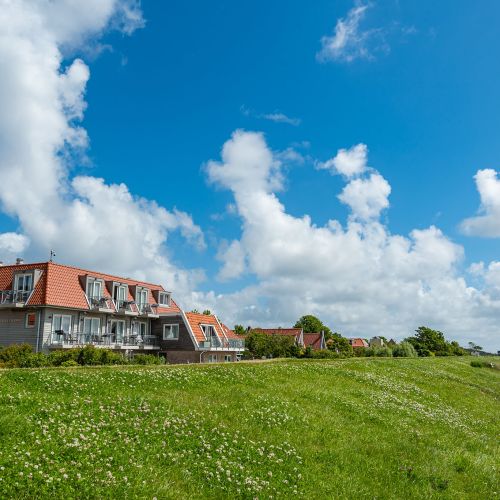 2023-02/veerman-online-2e-20