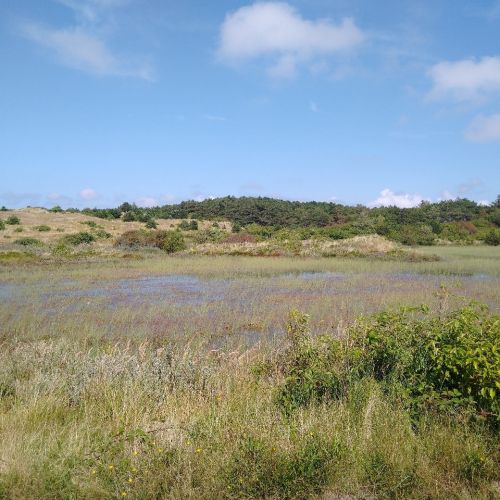 2025-06/bos-duin-excursie