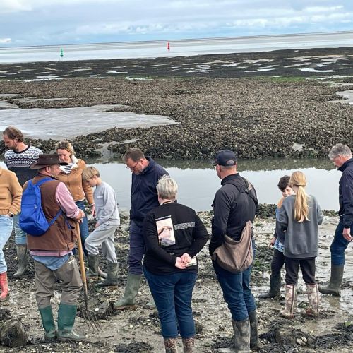 2025-06/wad-excursie-ferry