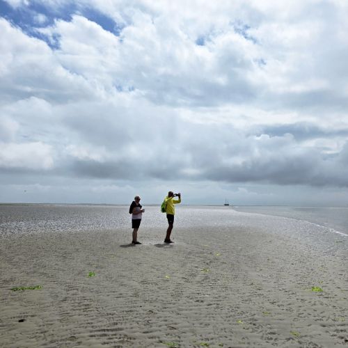 2025-07/img-20250625-223415-804