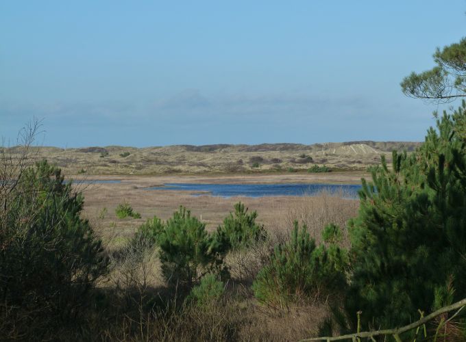 Tips van de boswachters