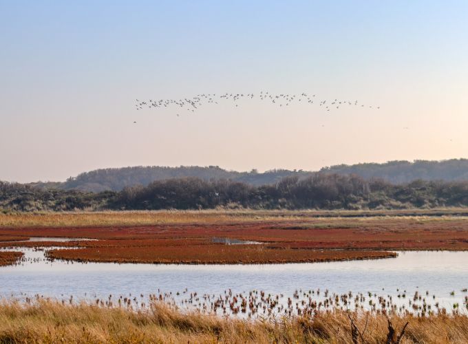 Natuurlijk Vlieland