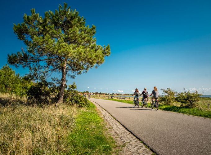Vlieland verkennen... per fiets