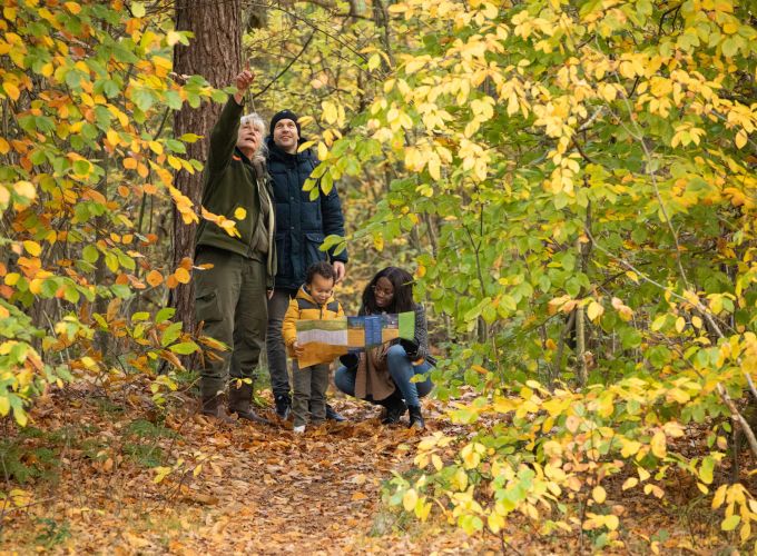 Stappen door November