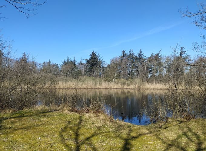 Nieuwe kooi excursie - de Lepelaar