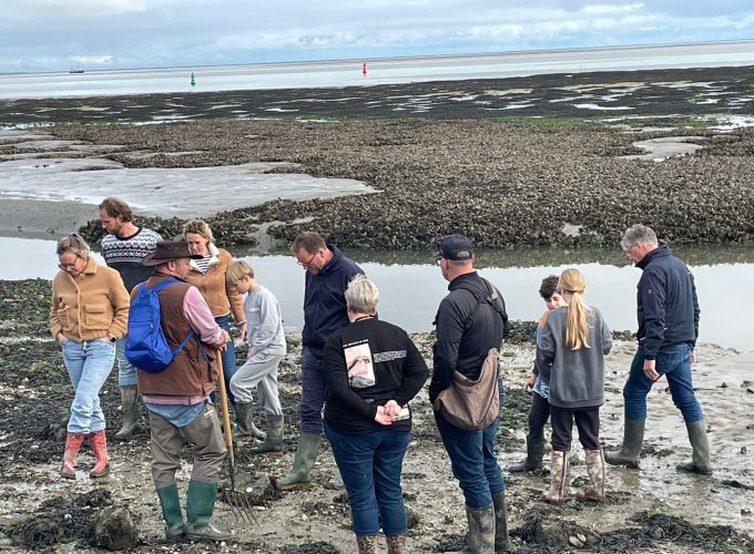 Wadexcursie de Lepelaar - Wat leeft er in en op het Wad....