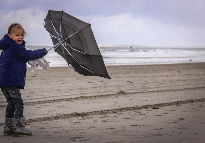 Marjet van Veelen, Heerlijke vakantiehuizen