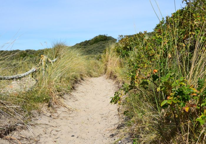Strandovergang Vliepark, Vliepark